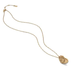 Ancient Wings Locket