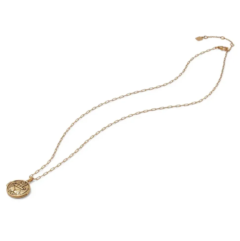Ancient Wings Locket