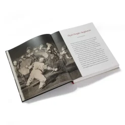 Goya'S Graphic Imagination