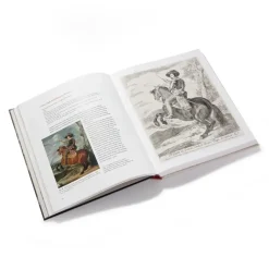 Goya'S Graphic Imagination