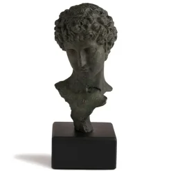 Head Of A Youth Sculpture