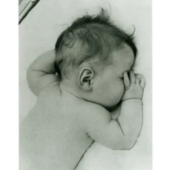 Lullabies Songbook And Cd