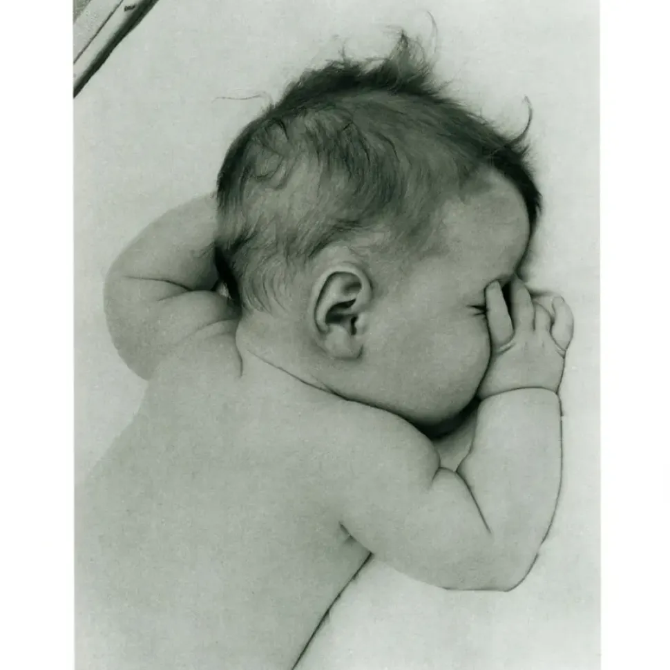 Lullabies Songbook And Cd