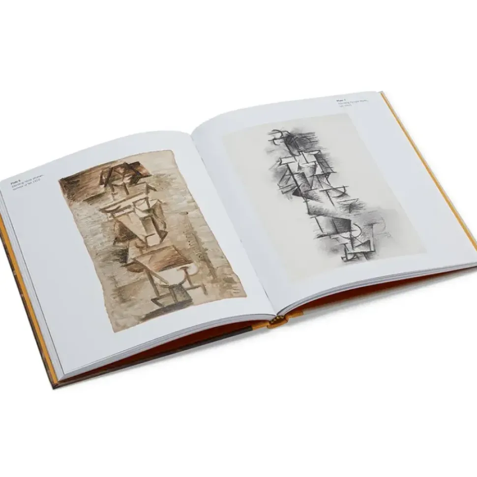 Picasso: A Cubist Commission In Brooklyn