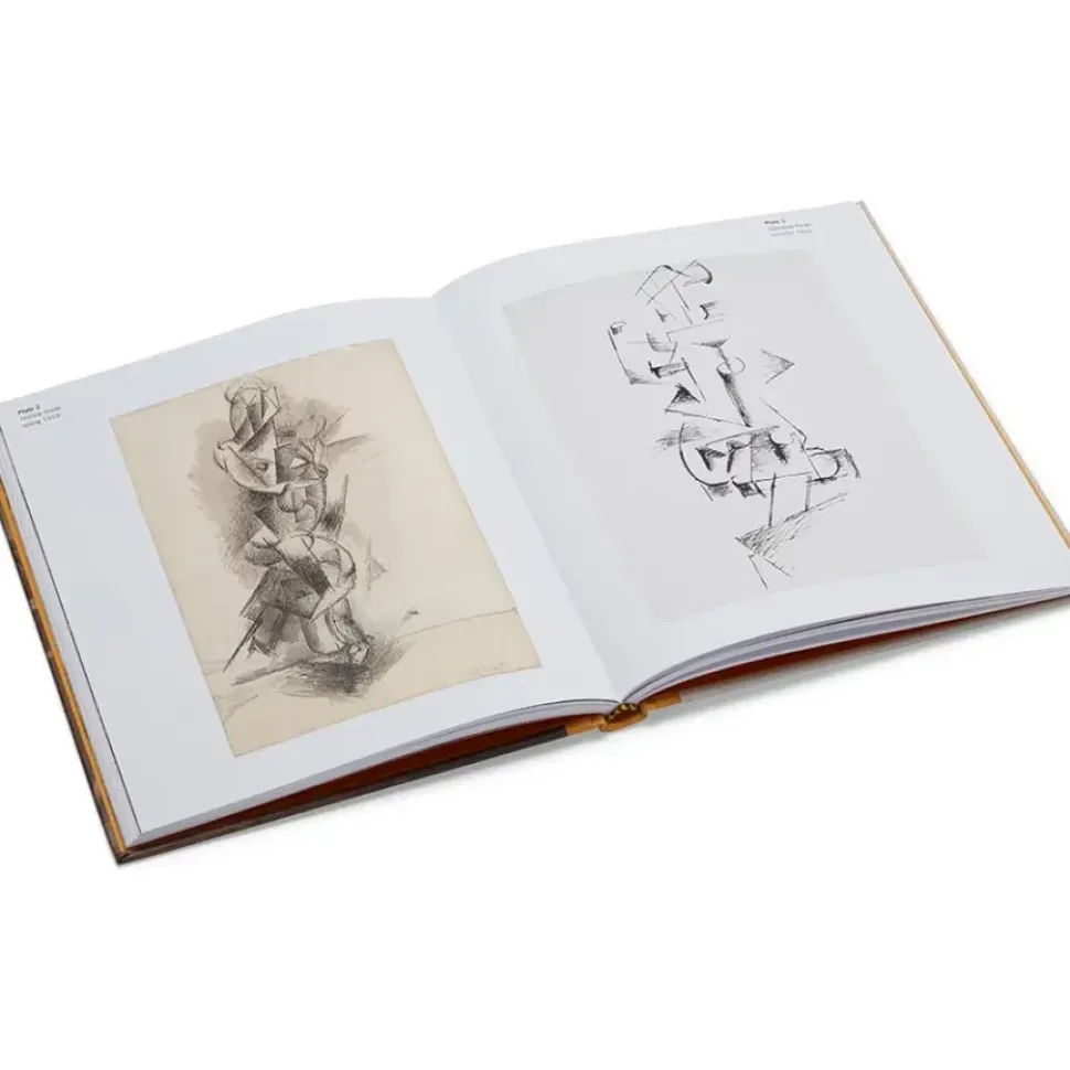 Picasso: A Cubist Commission In Brooklyn