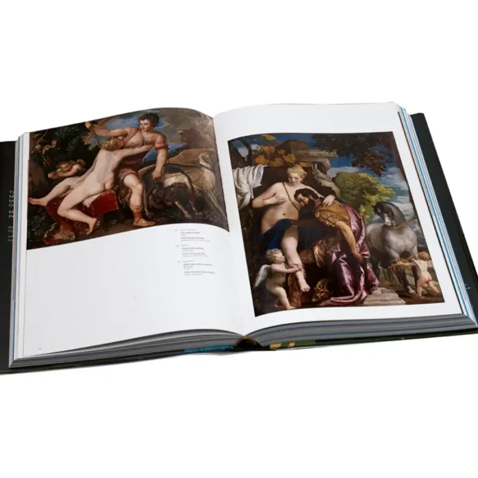 The Metropolitan Museum Of Art: Masterpiece Paintings